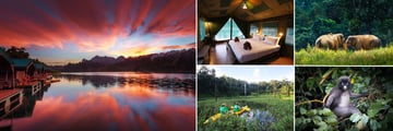 Elephant Hills National Park, Rainforest Camp Cheow Larn Lake at sunset, Luxury Floating Temp, Elepants raoming, Dusky Langu in the trees, Canoeing ,  