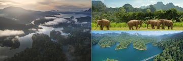 Elephant Hills' scenery