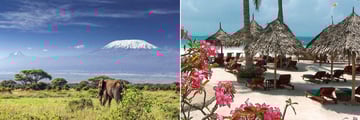 Elephant in Amboseli & Pinewood Beach Resort beachfront
