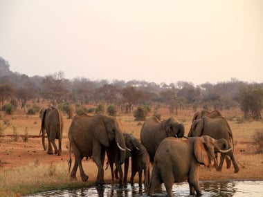 Kenya