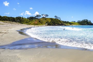 Elliot Bay, Bay of Islands