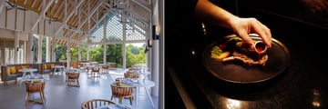 aqua and carnivorous restaurants at emerald faarufushi
