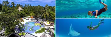 Dolphin Kid's Club and scuba diving at Emerald Maldives
