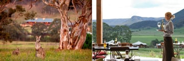 Emirates One&Only Wolgan Valley, Wallabies and The Country Kitchen