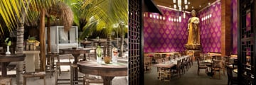 Natura Day Club & Grill and Koh Thai at Essence at the Fives Beach