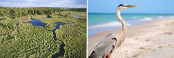 Florida's Everglades National Park & wildlife