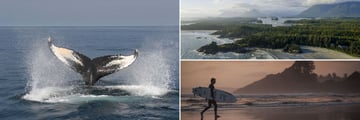Whale watching in Bay of Fundy (left), Pacific Rim National Park (top right), and Tofino (bottom right) 