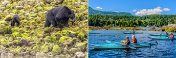 Bear watching in Tofino (left) and kayaking in British Columbia (right)