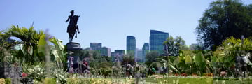 Boston Park