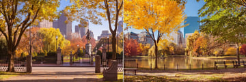 Boston Public Gardens in Autumn at Fairmont Copley Plaza