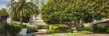 Fairmont Miramar Hotel & Bungalows, Front Drive View and Fig Tree