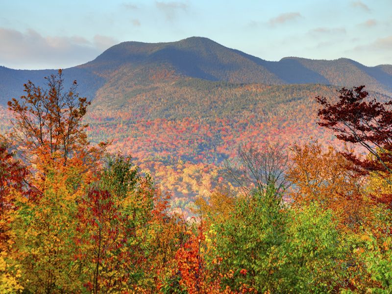 Fall foliage in the White Mountains