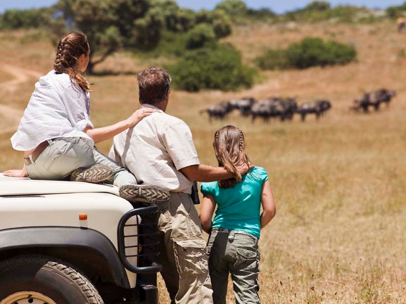 Family on game drive in South Africa