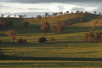Beautiful farmland in New South Wales