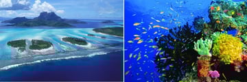 Fiji Islands & Coral Reef