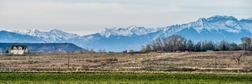 Colorado Rockies