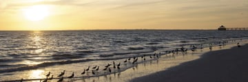 Sunset across Fort Myers beach