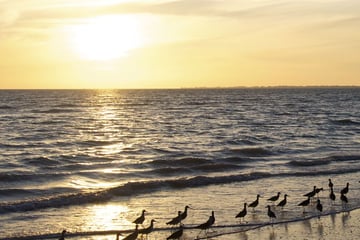 Sunset across Fort Myers beach