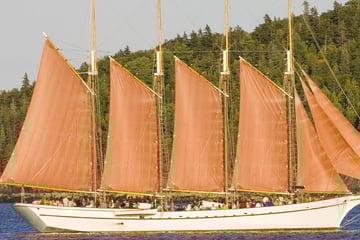 Four masted schooner, sailing by Acadia National Park