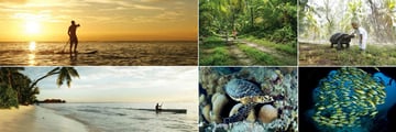 Four Seasons Resort Seychelles at Desroches Island, Stand Up Paddle, Cycling, Giant Aldabra Tortoise, Fish, Turtle and Kayaking