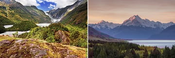 Franz Josef Glacier & Views of Mount Cook from Lake Pukaki