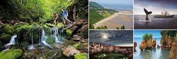 Fundy National Park & The Bay of Fundy