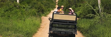 Enjoying game drives in South Africa
