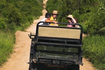 Enjoying game drives in South Africa