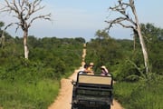 Africa