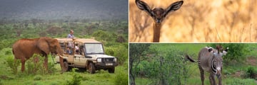 Samburu National Reserve