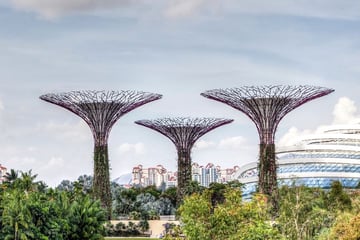 Gardens by the Bay