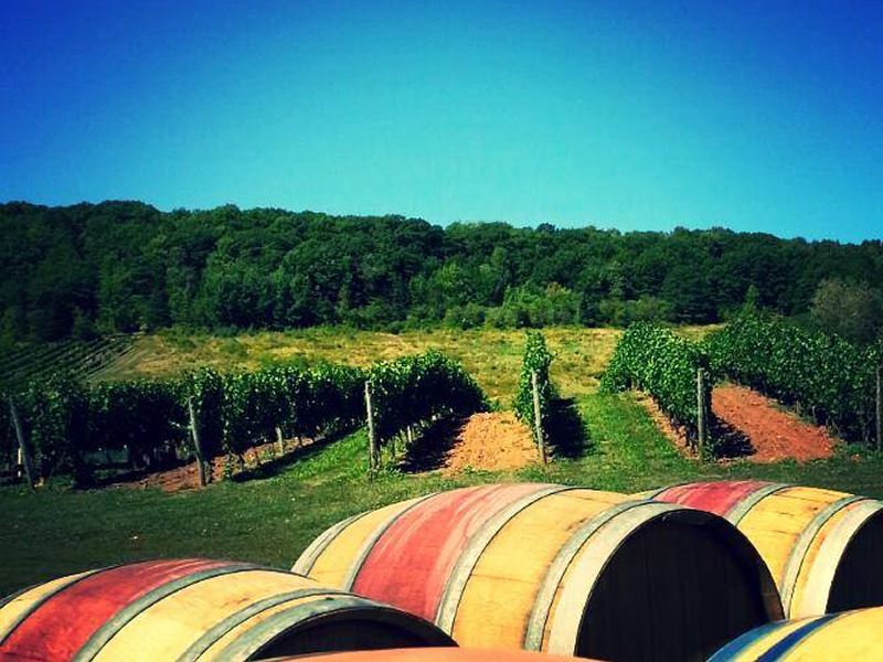 Gaspereau Vineyards
