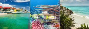 Georgetown, Diving in Cozomel & the Riviera Maya coast