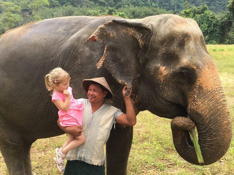 Getting close with Thailand's giants at Elephant Hills