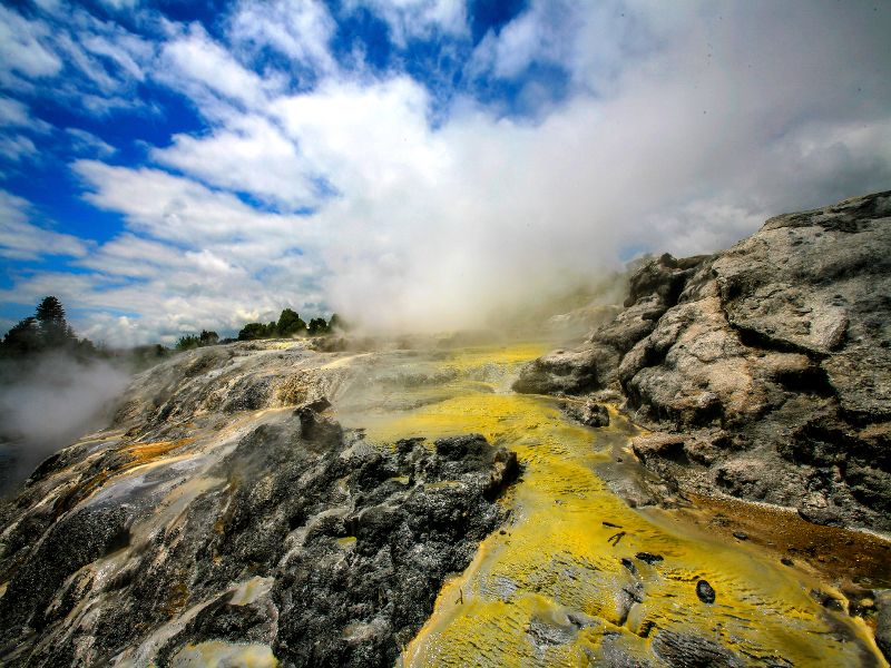 geyser at te puia