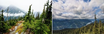 Glacier National Park &Glacier National Park & Mount Revelstoke, British Columbia