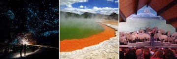 Glow Worm Cave Tour, Sights in Rotorua & The Agrodome Sheep Show