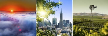 San Francisco & Californian Winelands