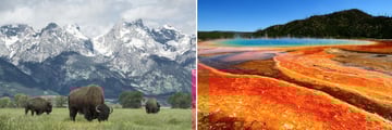 Grand Teton & Yellowstone National Park