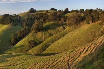 Green Hills, Gippsland, Victoria