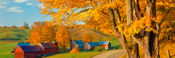 Autumnal road landscapes in New England