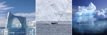 Greenland landscapes & whale sighting