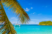 Grenadines