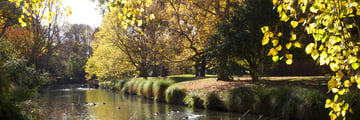 Hagley Park, Christchurch