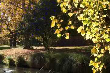 Hagley Park, Christchurch