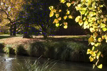Hagley Park, Christchurch