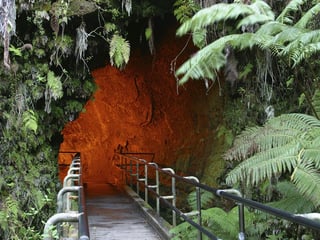 Hawaiian lava tube