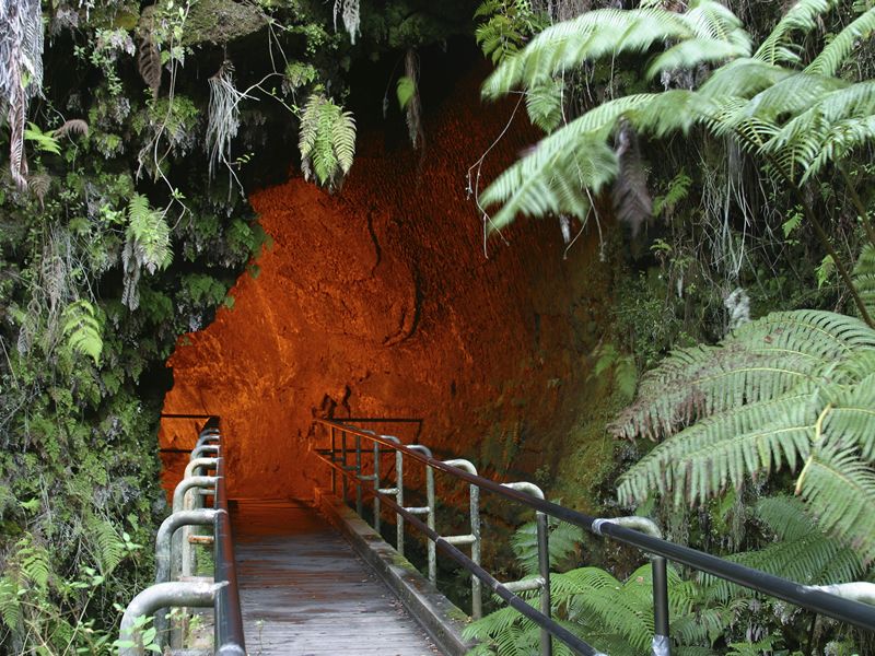 Hawaiian lava tube