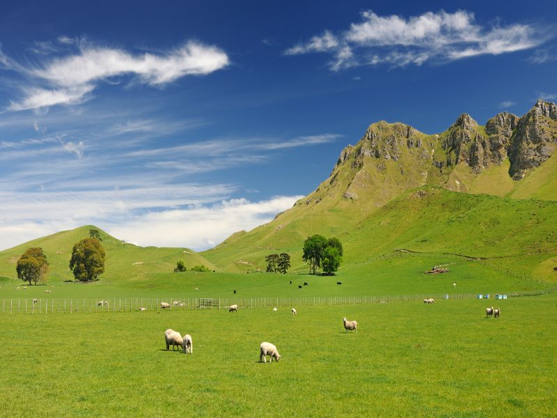 Hawke's Bay