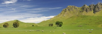 Hawkes Bay region